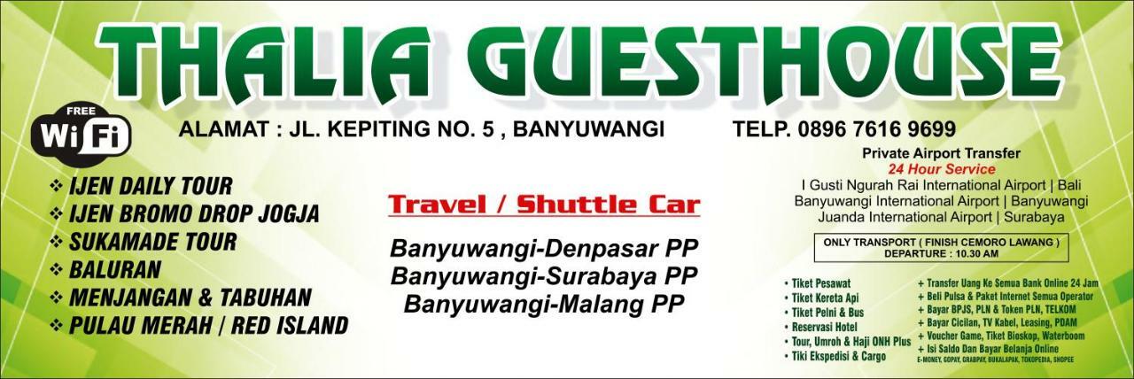 בניוואנגי Thalia Guesthouse Ijen - Bromo & Sukamade Tour מראה חיצוני תמונה